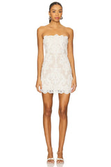 X Revolve Amanda Mini Dress