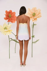 Dewdrop Dreams Strapless Mini Dress Ombre