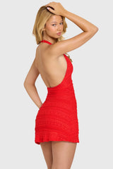 Lace Mini Dress in Cherry