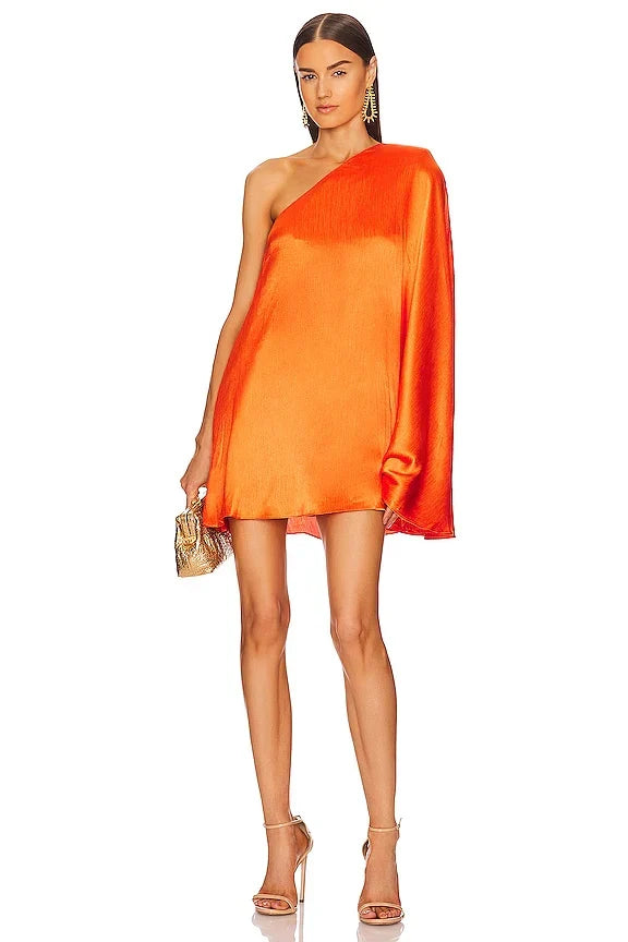 X Revolve Barbara Mini Dress